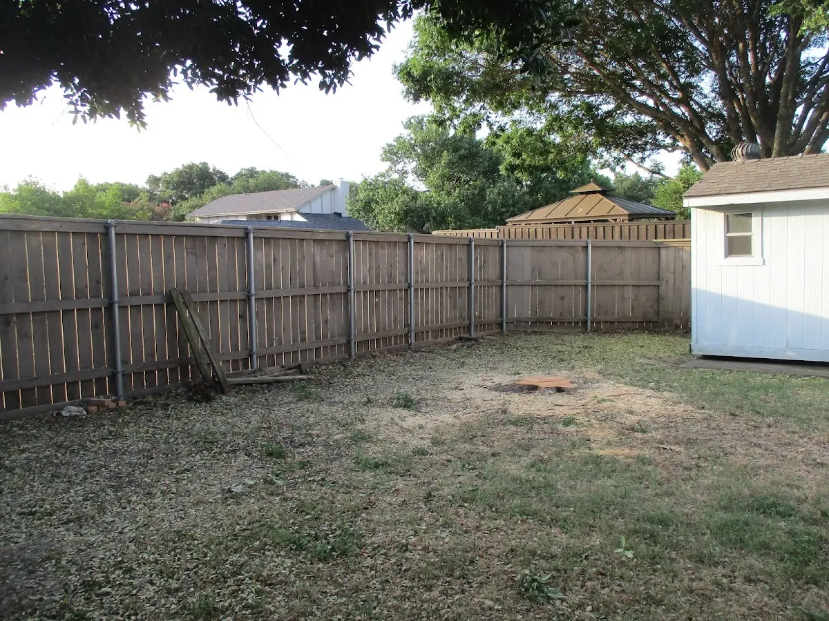 Cleared yard after professional tree removal in Bethel Springs