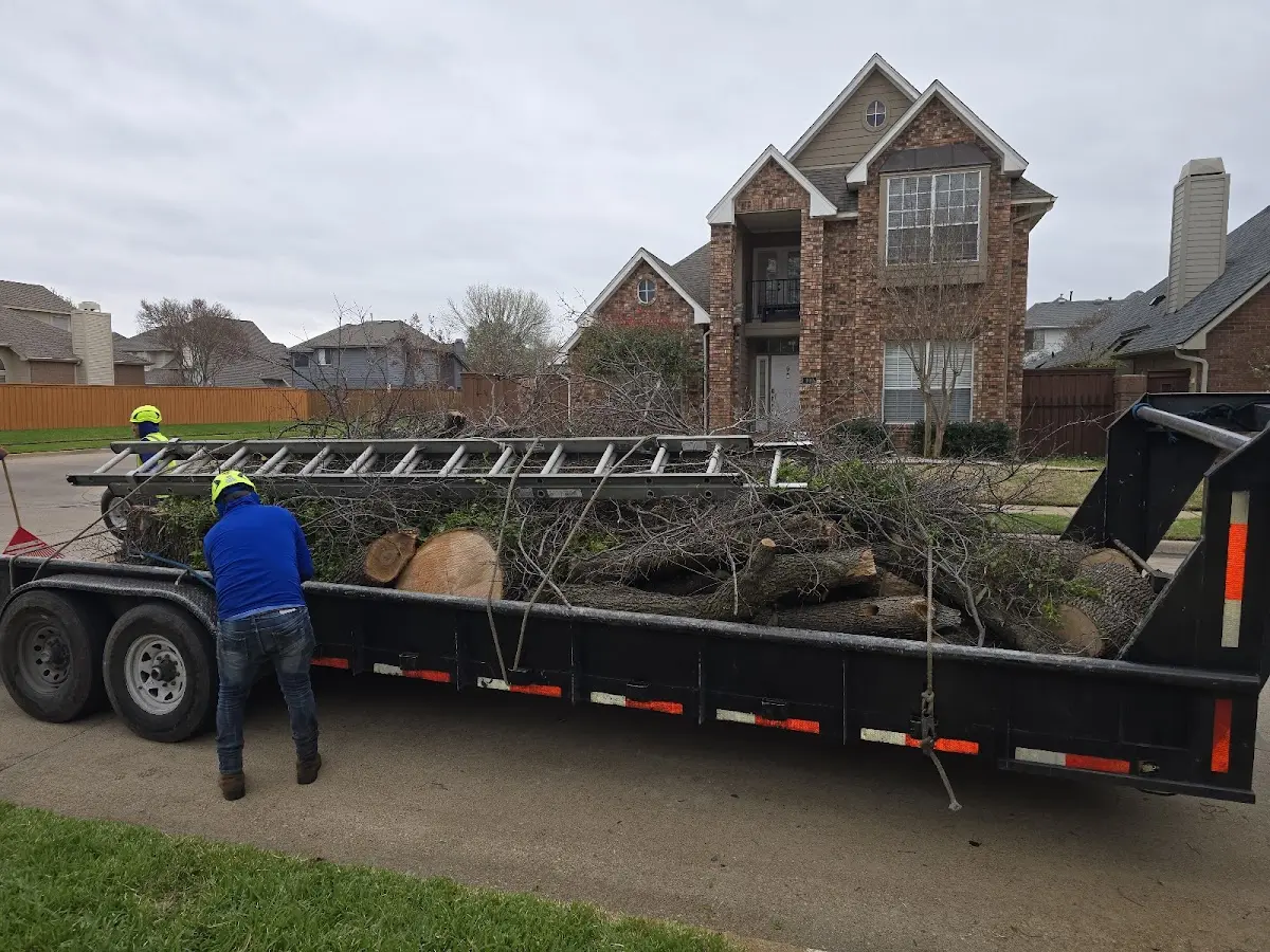 Expert Tree Removal with proper safety equipment in Bethel Springs